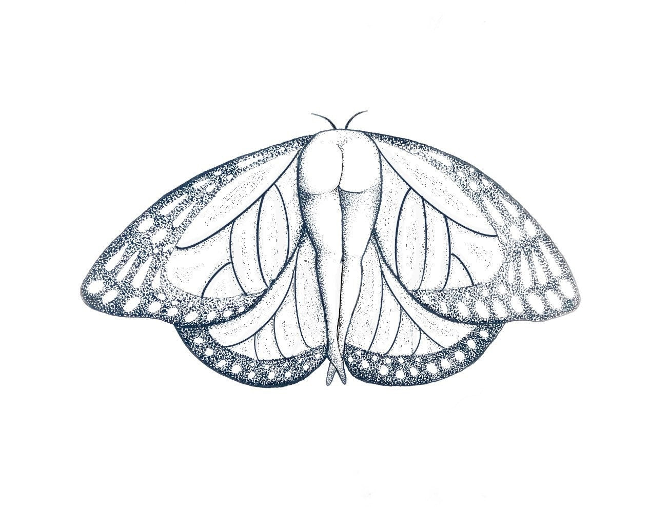 butt-erfly dotwork print, entomology fans , pointillism insect, cute butt gift, pun wall art, indie decor, stippling avant garde quirky art