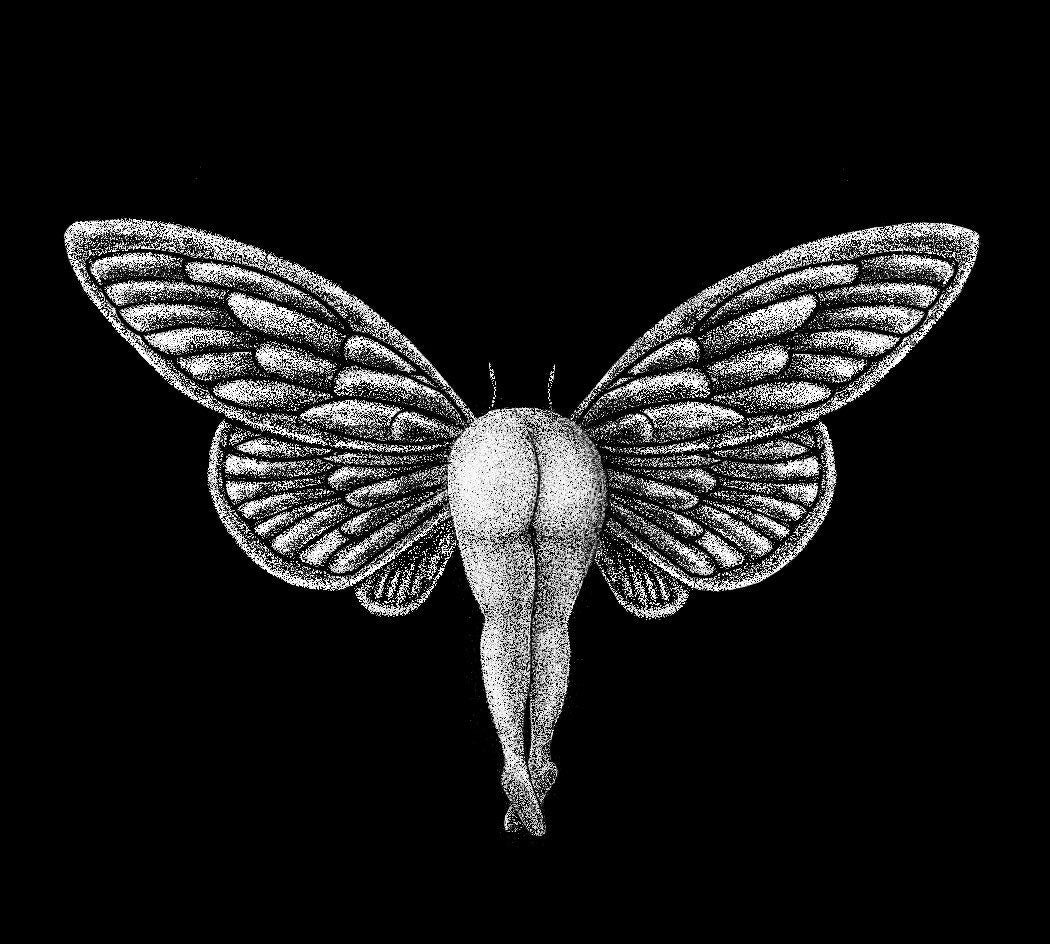 butt-erfly dotwork print, entomology fans , pointillism insect, cute butt gift, pun wall art, indie decor, stippling avant garde quirky art