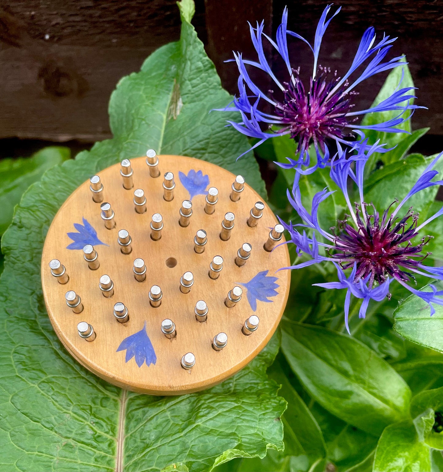 Mini palm sized Botanical Solitaire board, with pressed cornflower petals, B grade shabby chic cottagecore goblincore unique nature