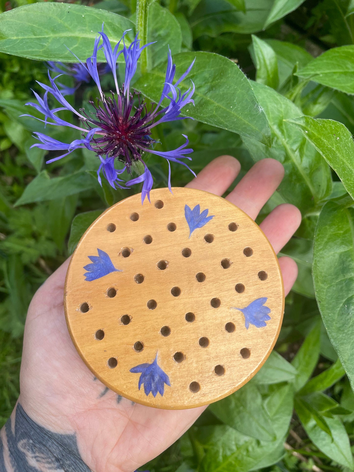 Mini palm sized Botanical Solitaire board, with pressed cornflower petals, B grade shabby chic cottagecore goblincore unique nature