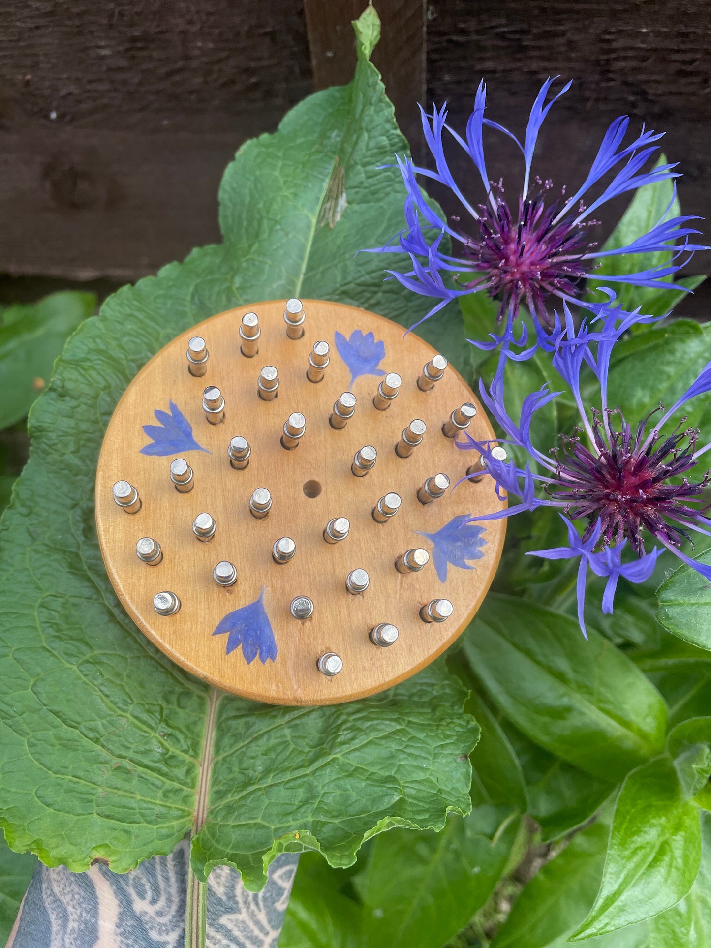 Mini palm sized Botanical Solitaire board, with pressed cornflower petals, B grade shabby chic cottagecore goblincore unique nature