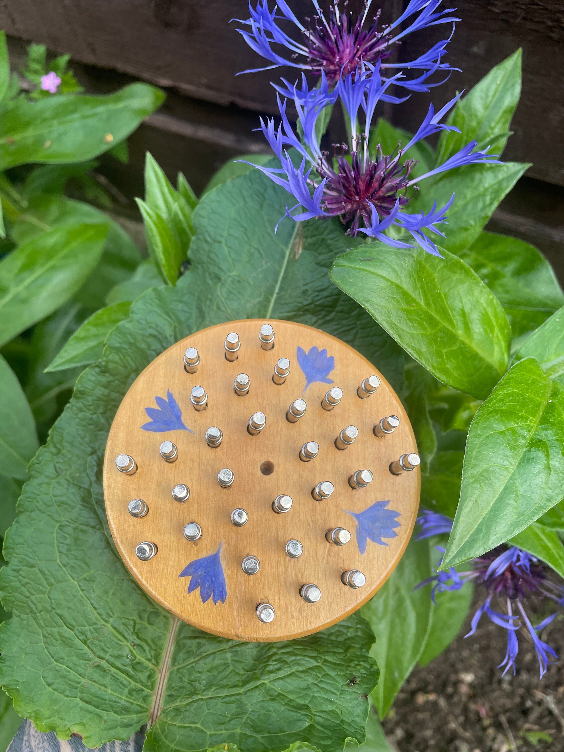 Mini palm sized Botanical Solitaire board, with pressed cornflower petals, B grade shabby chic cottagecore goblincore unique nature