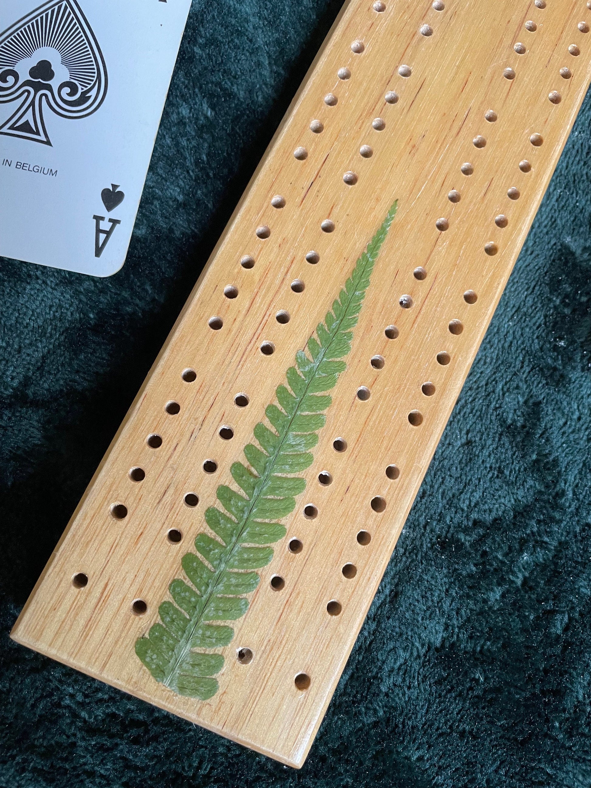 Handmade botanical Cribbage board, with real Fern leaves, shabby chic cottagecore goblincore unique nature lover card game