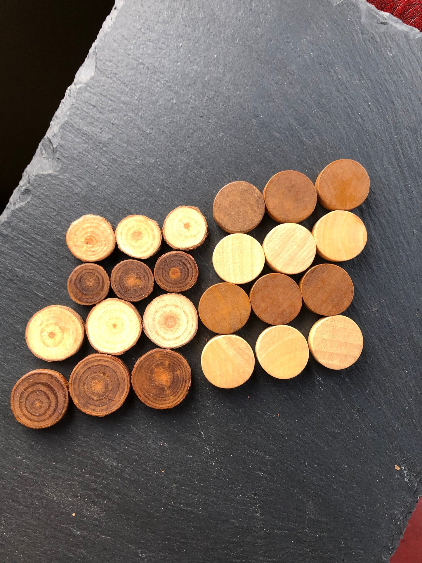 PRE-ORDER botanical backgammon board, with pressed leaves including ferns & veronica flowers cottagecore goblincore unique nature