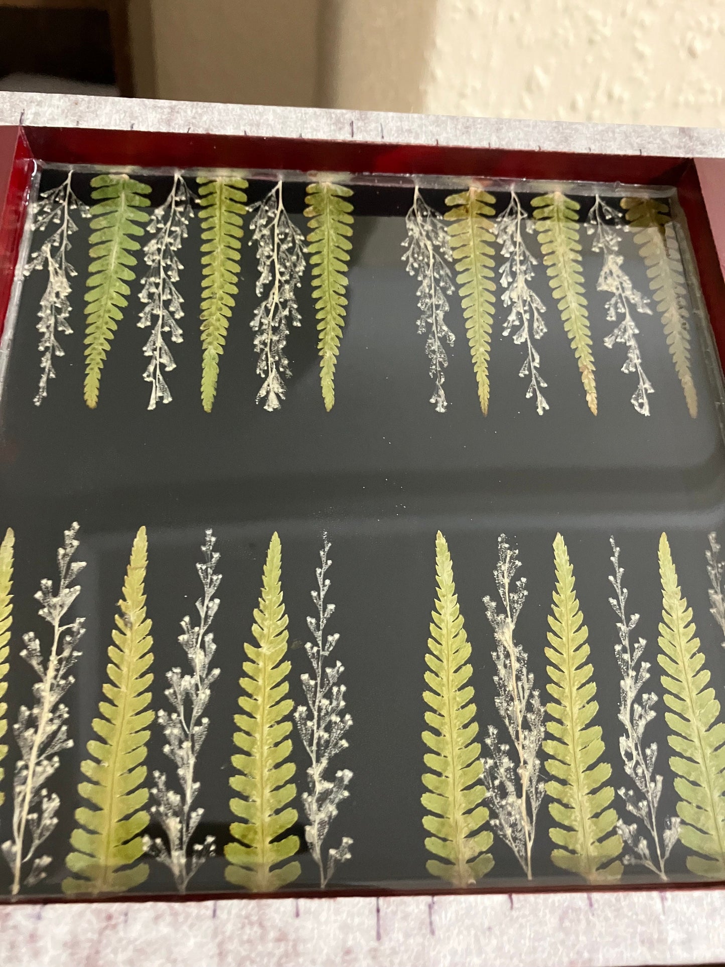 Handmade small Fern backgammon board B grade with pressed leaves including ferns geranium & Herb robert - shabby chic cottagecore nature