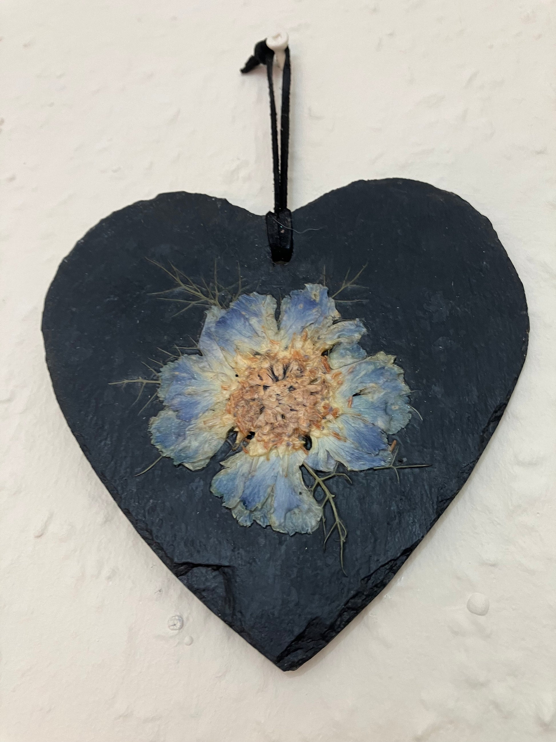 Slate heart with preserved blue Himalayan poppy flower, cottagecore fae botanical gift foraged preserved plant wall hanger