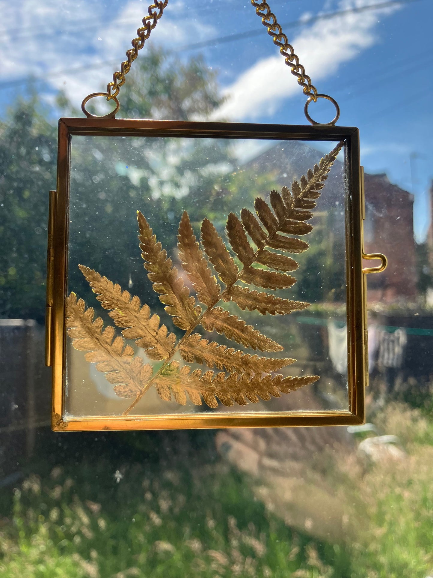 Real Fern leaf gold wall hanger, real pressed flower floating frame, cottagecore fae botanical gift foraged plant