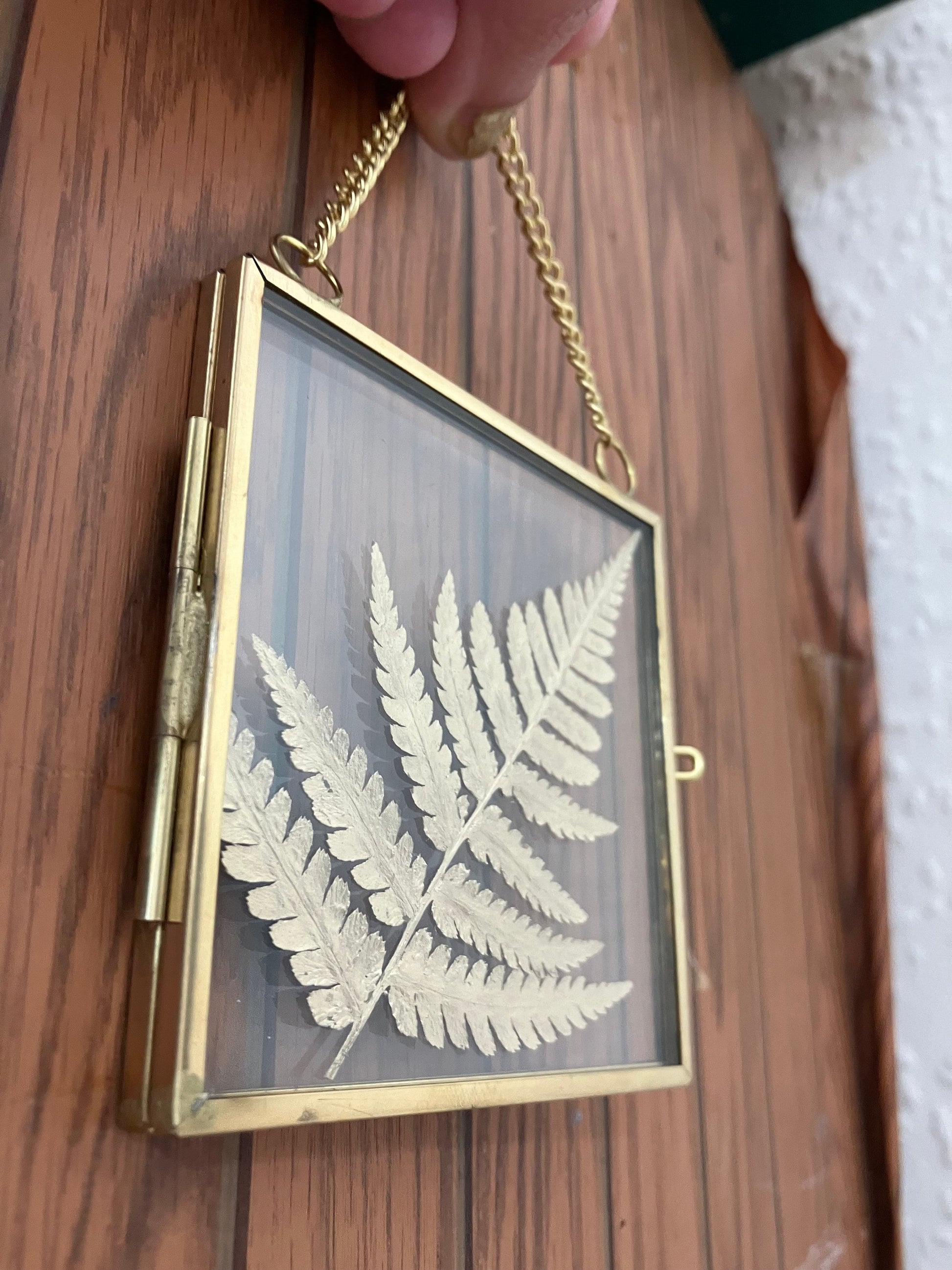 Real Fern leaf gold wall hanger, real pressed flower floating frame, cottagecore fae botanical gift foraged plant