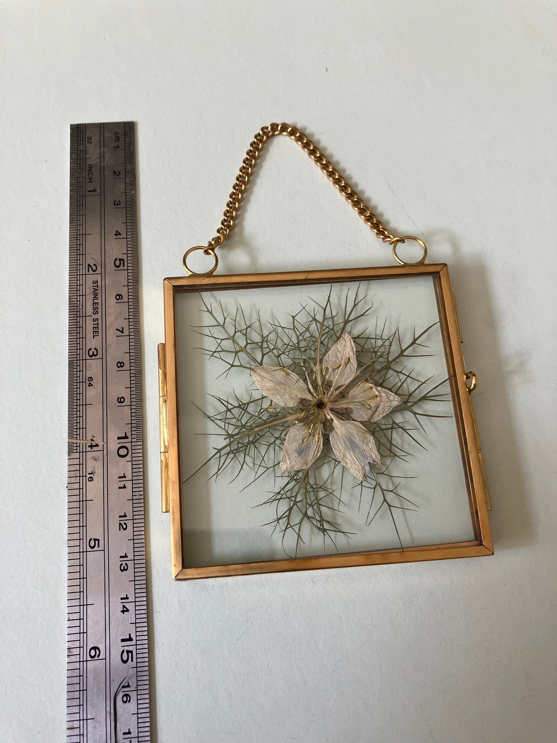 Love-in-a-mist flower wall hanger, real pressed nigella flower floating frame, cottagecore fae botanical gift foraged plant