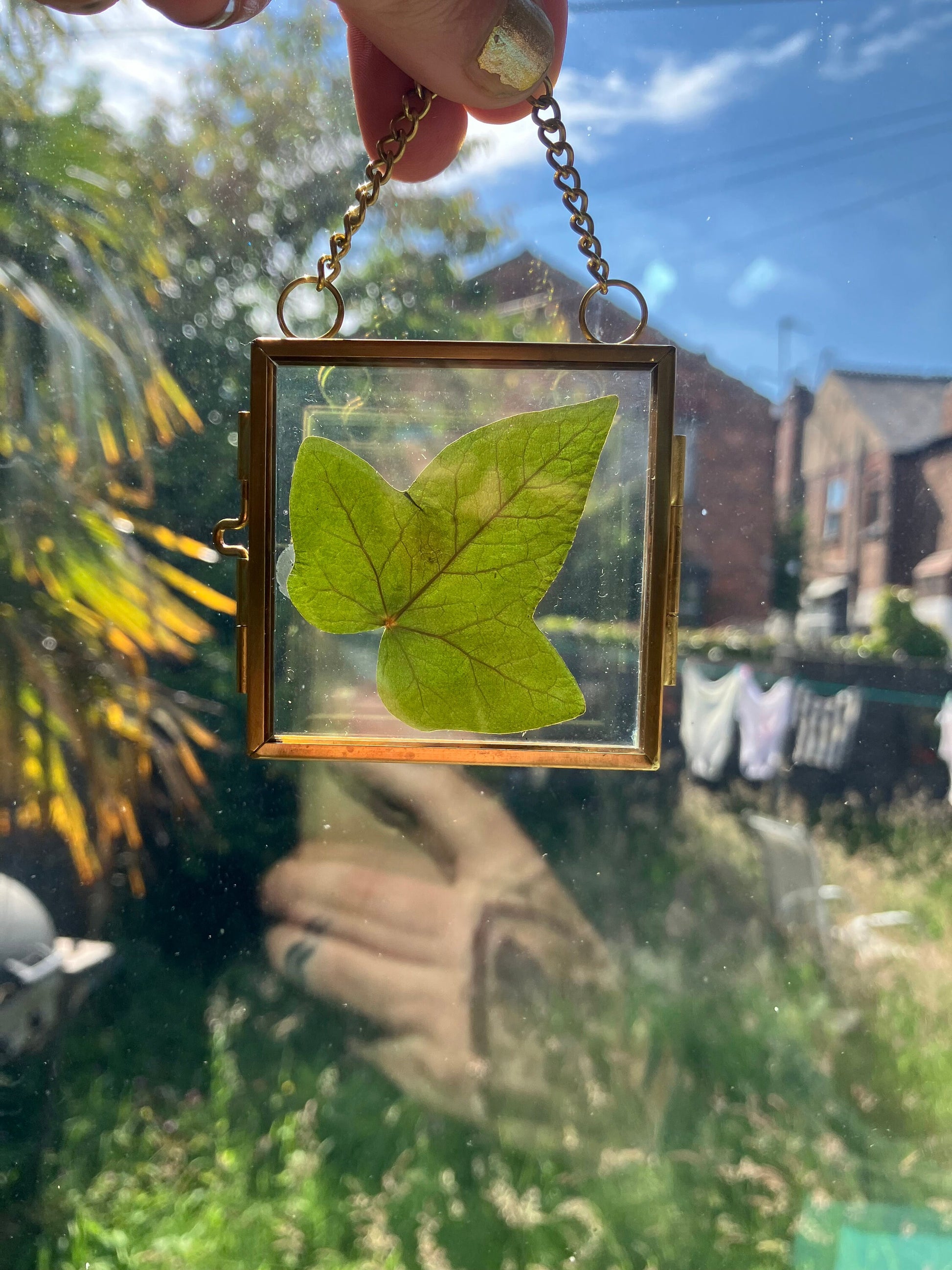 Real Ivy leaf wall hanger, real pressed flower floating frame, cottagecore fae botanical gift foraged plant