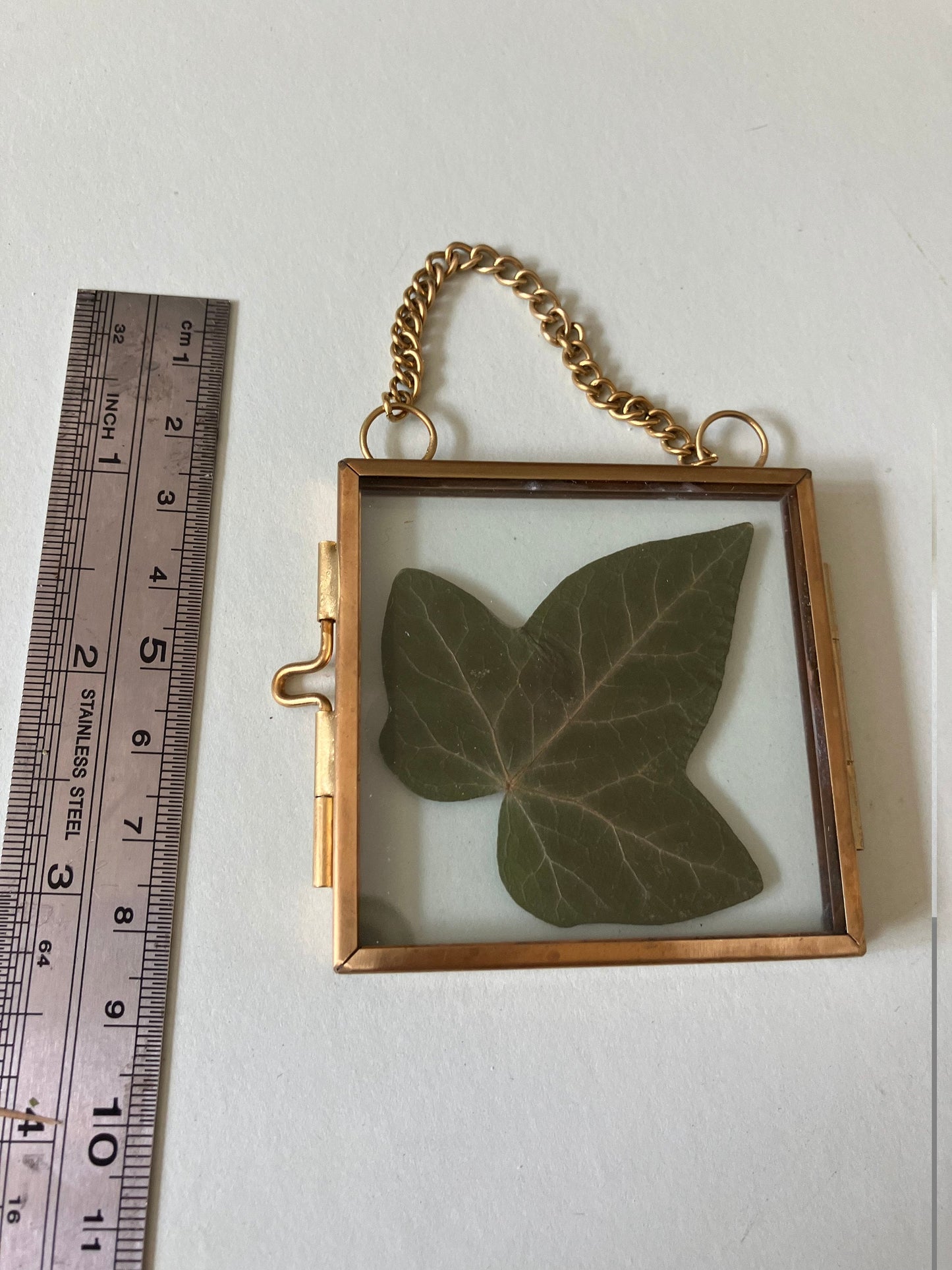 Real Ivy leaf wall hanger, real pressed flower floating frame, cottagecore fae botanical gift foraged plant