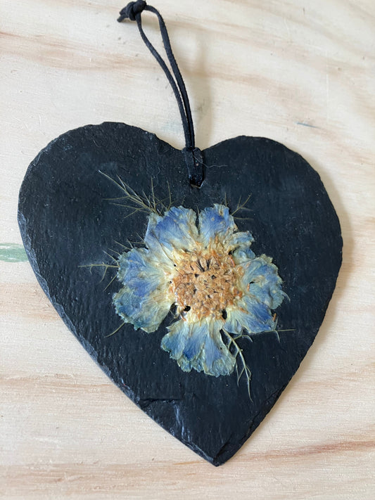 Slate heart with preserved blue Himalayan poppy flower, cottagecore fae botanical gift foraged preserved plant wall hanger