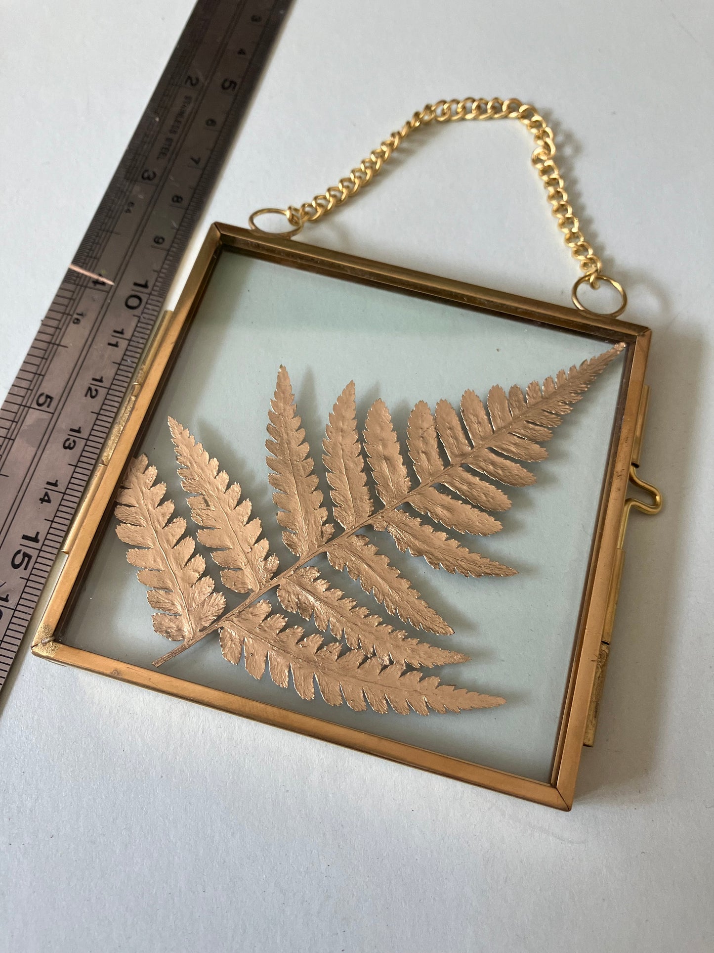 Real Fern leaf gold wall hanger, real pressed flower floating frame, cottagecore fae botanical gift foraged plant