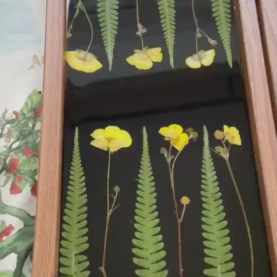 Buttercup and Fern backgammon board, with pressed leaves including ferns and buttercups,  shabby chic, cottagecore goblincore unique nature