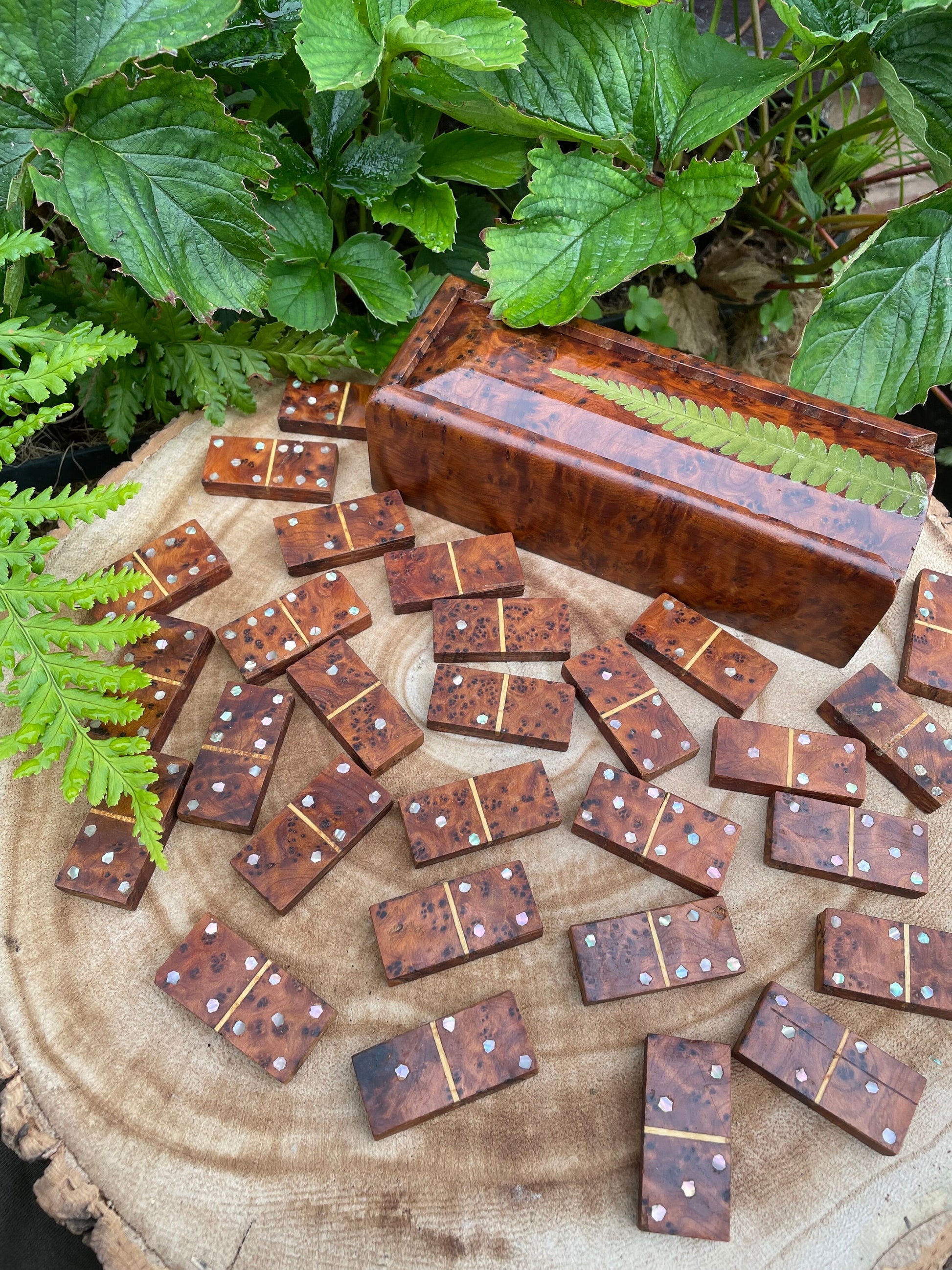 Botanical dominoes box, with real polypody fern leaves cottagecore goblincore unique nature fae handmade boardgame