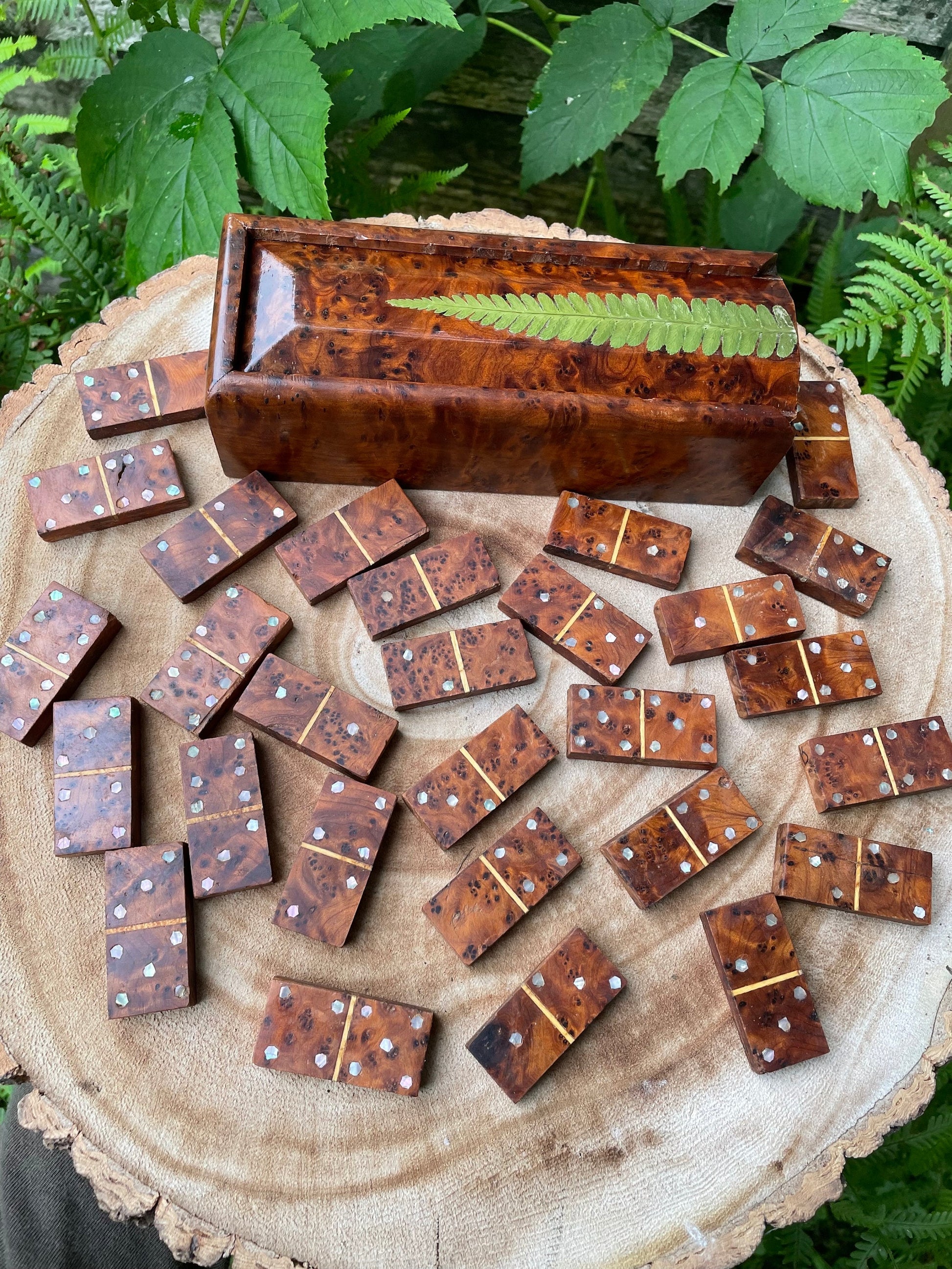 Botanical dominoes box, with real polypody fern leaves cottagecore goblincore unique nature fae handmade boardgame