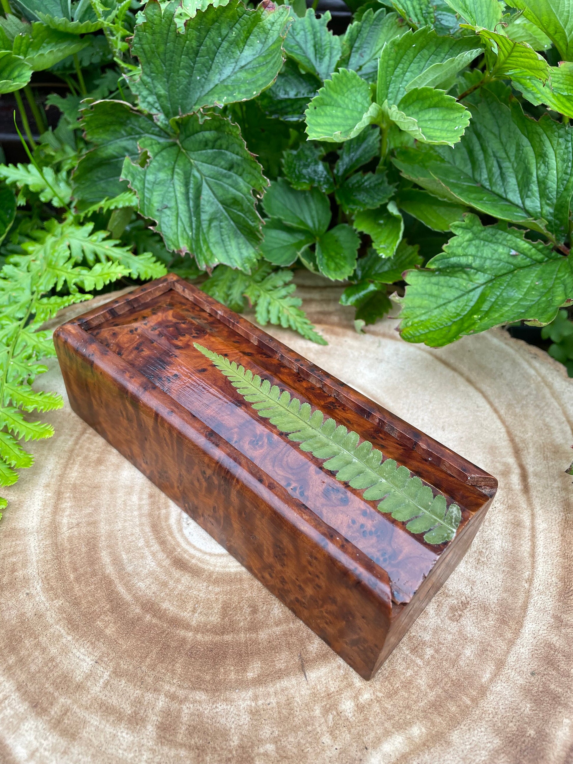 Botanical dominoes box, with real polypody fern leaves cottagecore goblincore unique nature fae handmade boardgame